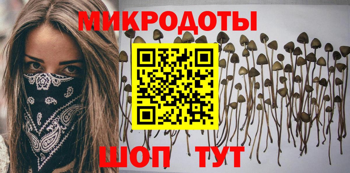 Галлюциногенные грибы GOLDEN TEACHER  Вход с VPN  Магадан 