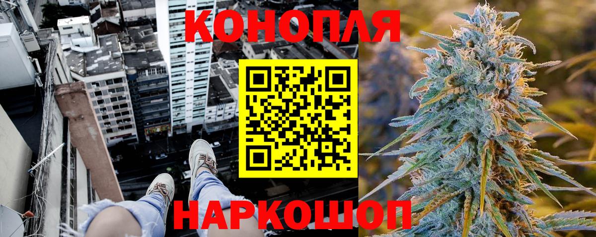 Шишки марихуана семена  Вход с VPN  Магадан  МАРИХУАНА семена  Бошки Шишки OG Kush  Каннабис Ganja 
